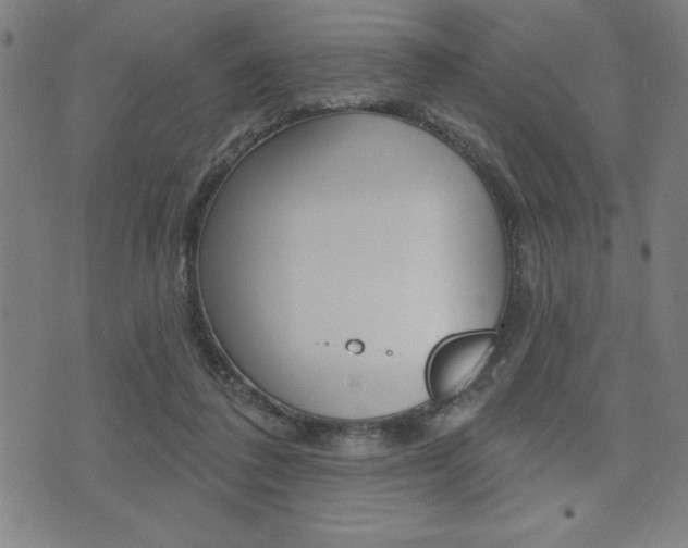 X0000072940308200607210914