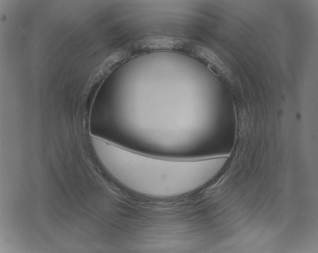 X0000072940309200607210914