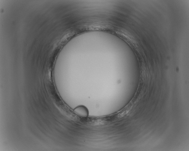 X0000072940310200607210914