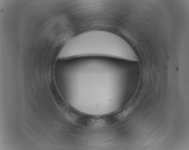 X0000072940311200607210914