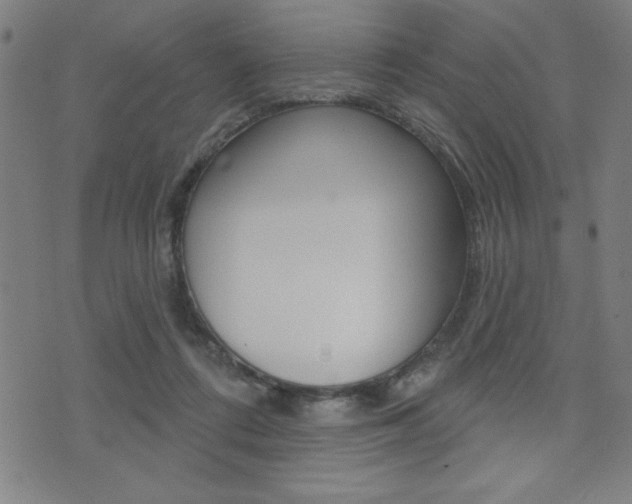 X0000072940312200607210914