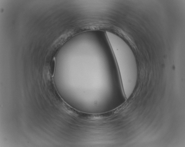 X0000072940313200607210914