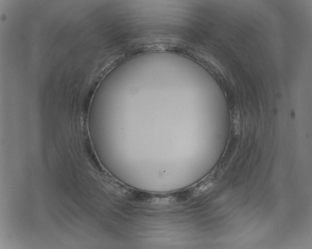 X0000072940314200607210914