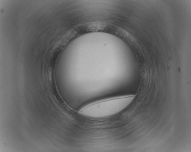 X0000072940315200607210914