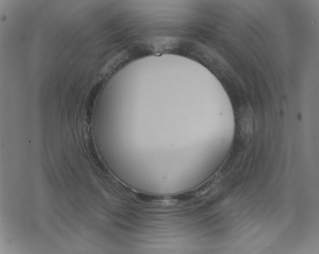 X0000072940316200607210914