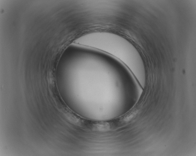 X0000072940317200607210914