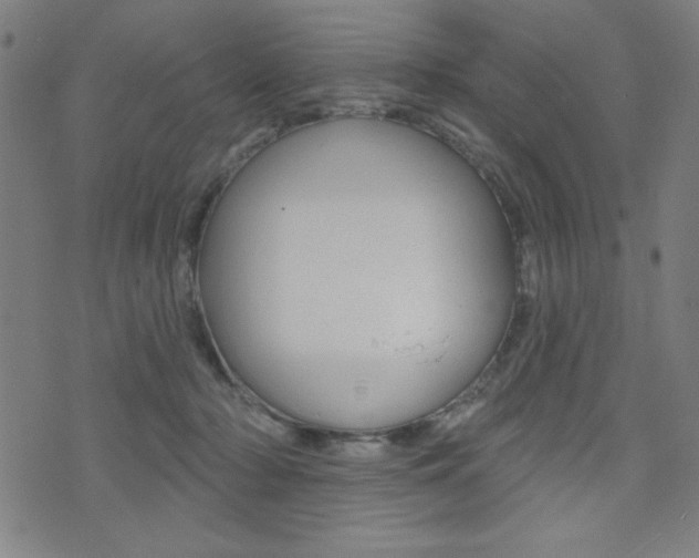 X0000072940318200607210914