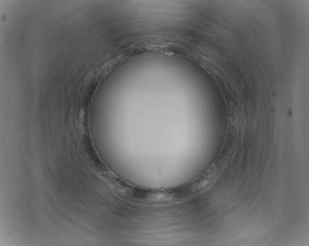 X0000072940319200607210914