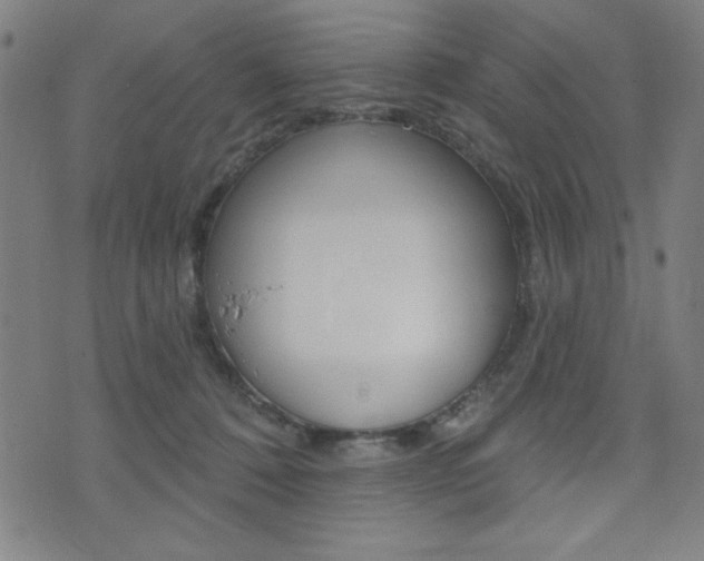 X0000072940320200607210914