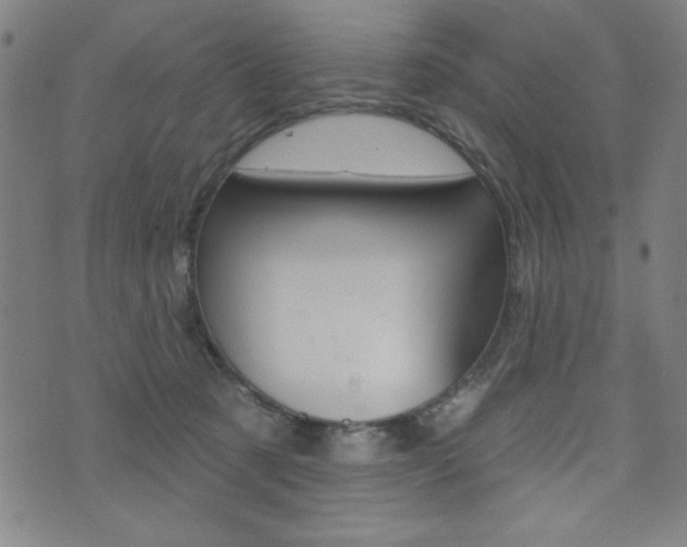 X0000072940321200607210913