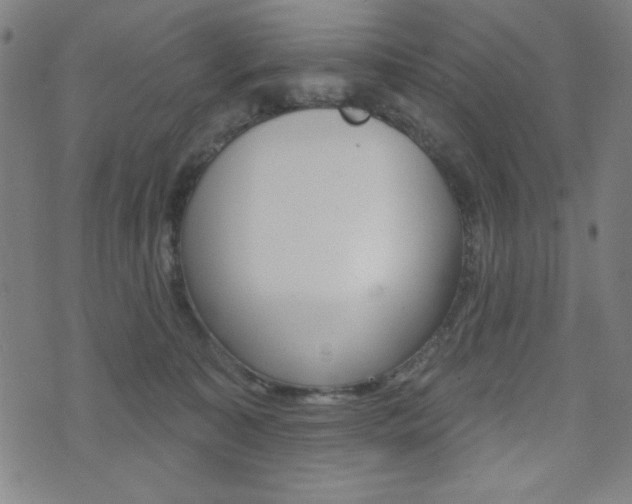 X0000072940323200607210913