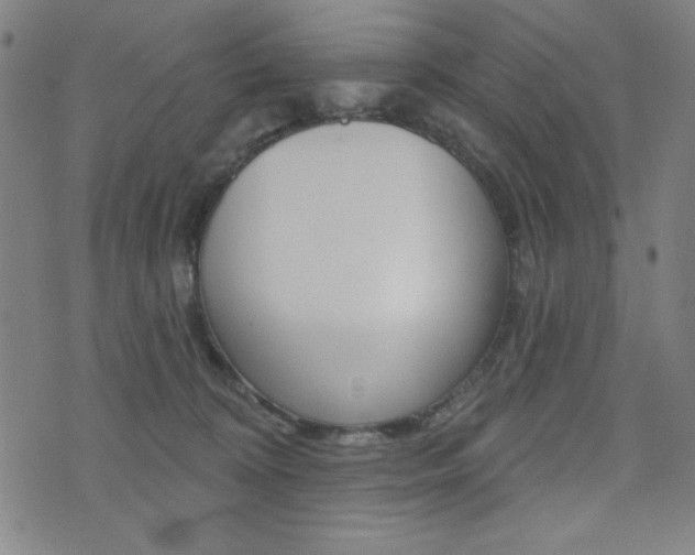 X0000072940324200607210913