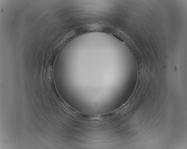 X0000072940325200607210913