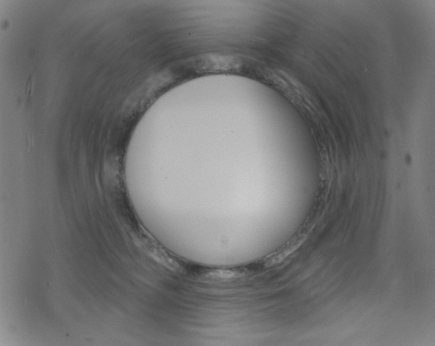 X0000072940326200607210913