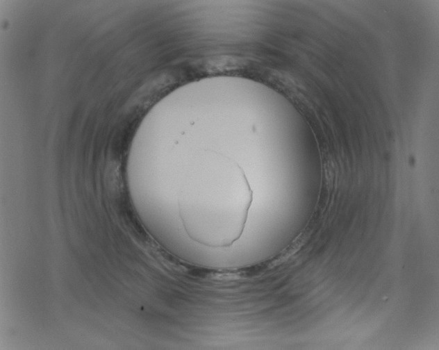 X0000072940327200607210913