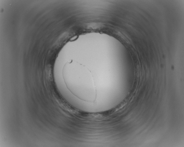 X0000072940328200607210913