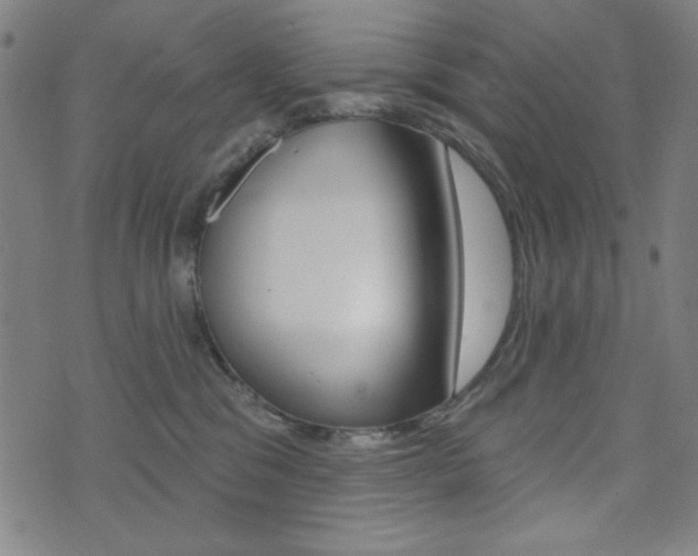 X0000072940329200607210913