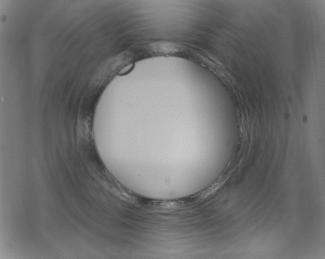 X0000072940330200607210913