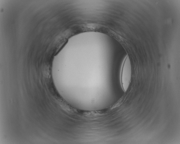 X0000072940331200607210913