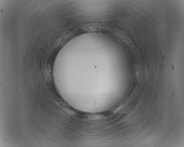 X0000072940332200607210913