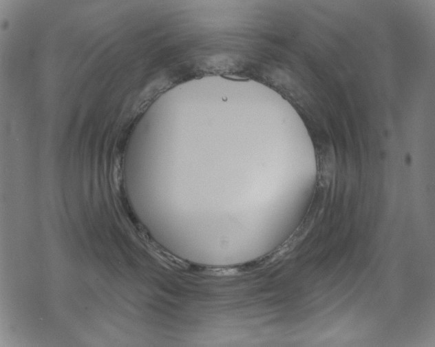 X0000072940334200607210913