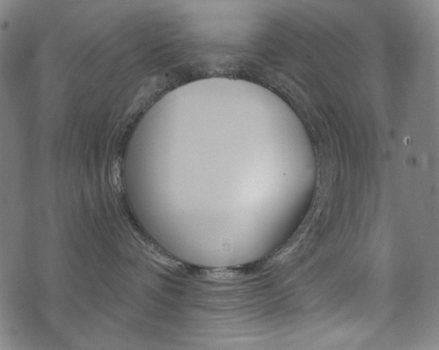 X0000072940336200607210913