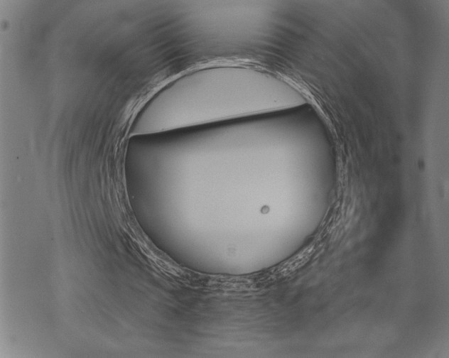 X0000072940337200607210912