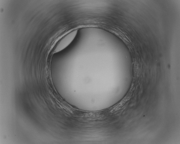 X0000072940338200607210912