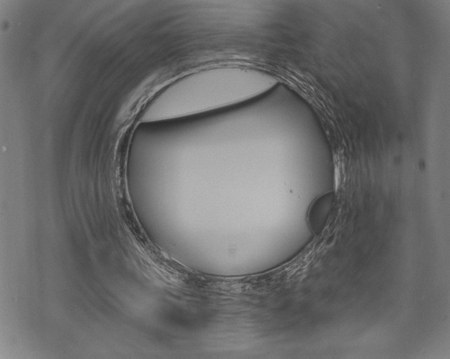 X0000072940339200607210912