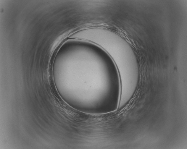 X0000072940340200607210912