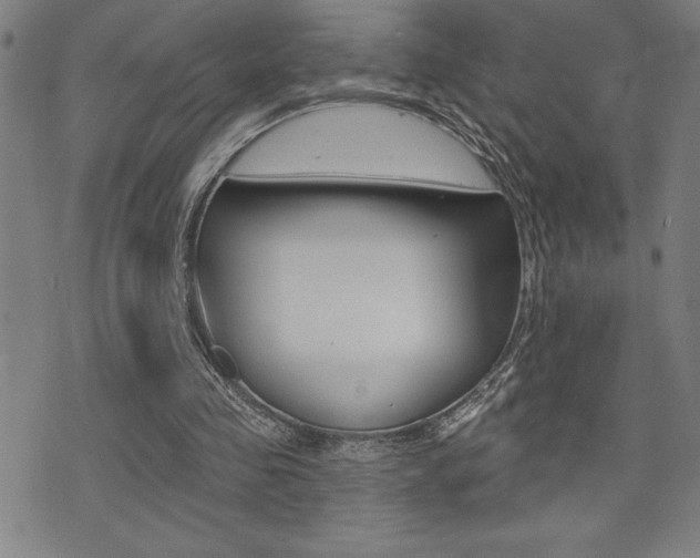 X0000072940341200607210913