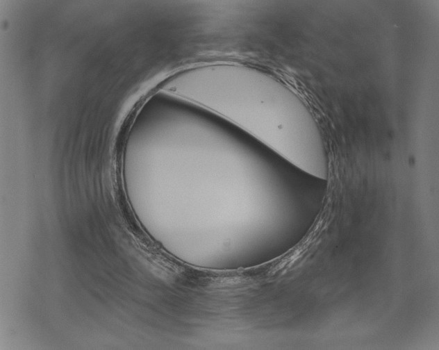 X0000072940342200607210913