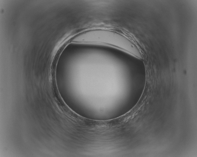 X0000072940344200607210913