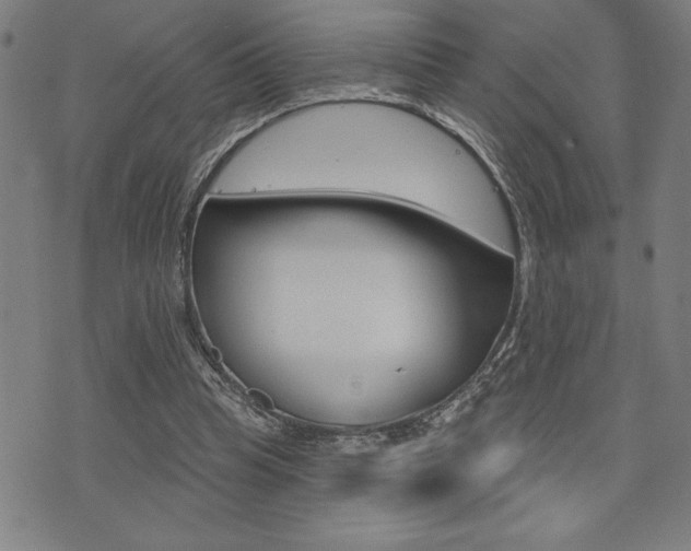 X0000072940345200607210913