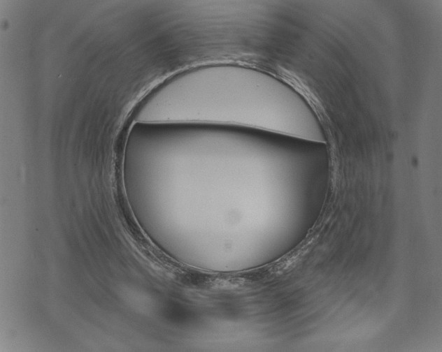 X0000072940346200607210913