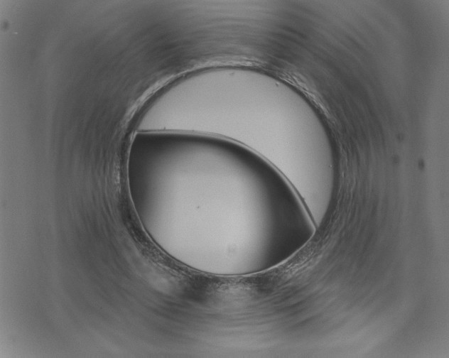 X0000072940348200607210913