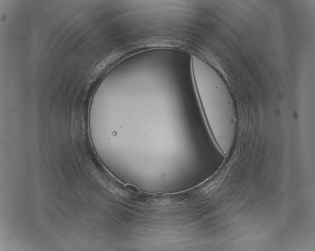 X0000072940349200607210913