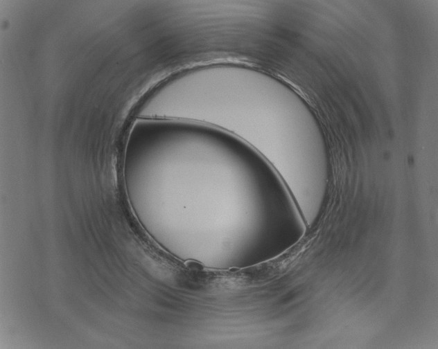 X0000072940350200607210913