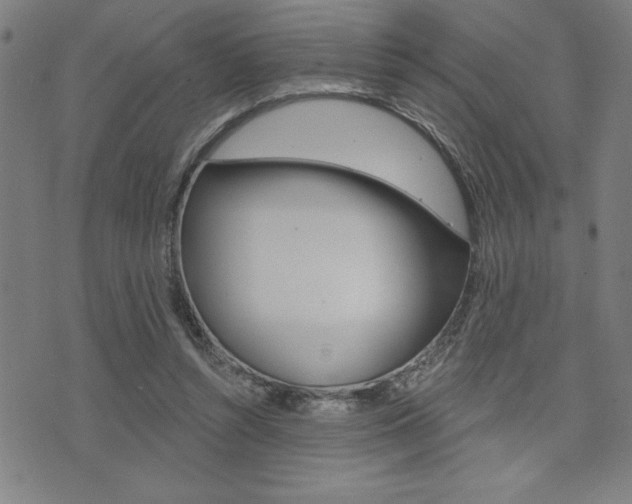 X0000072940352200607210913