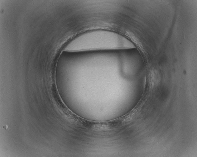 X0000072940354200607210913