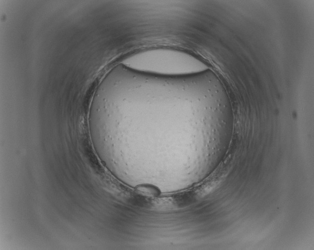 X0000072940355200607210913