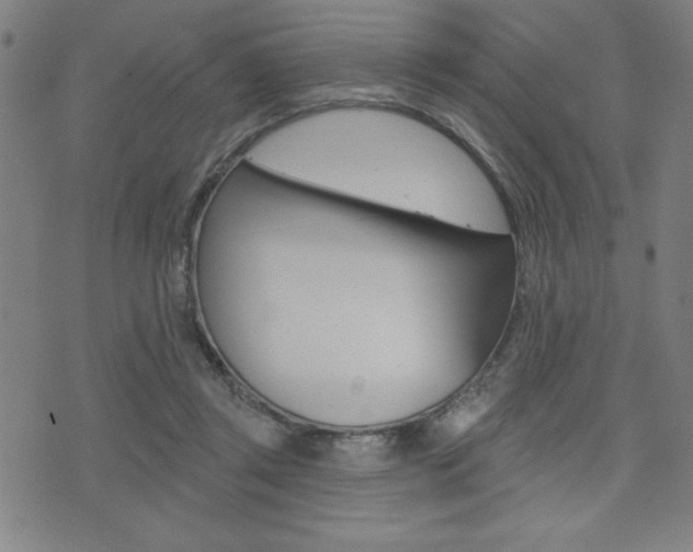 X0000072940357200607210913