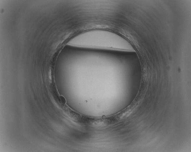 X0000072940358200607210913