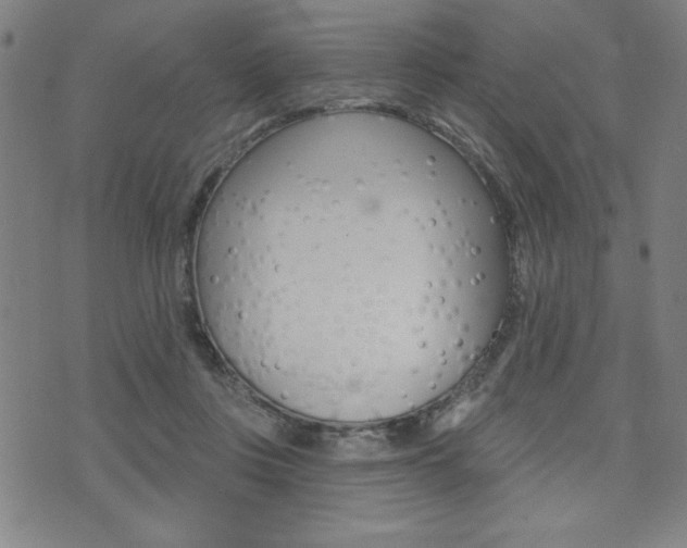 X0000072940359200607210913