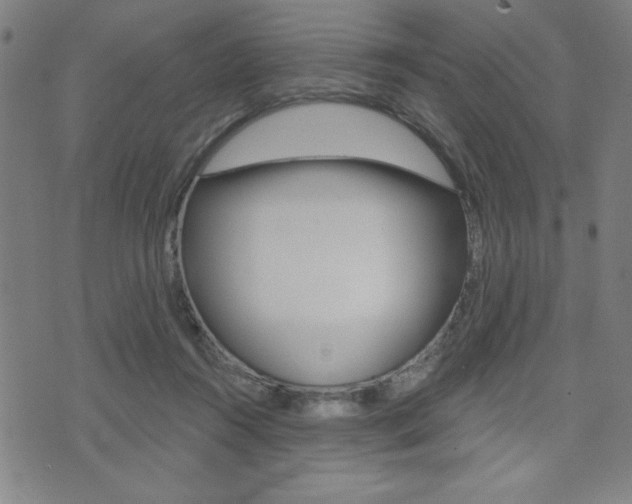 X0000072940360200607210913