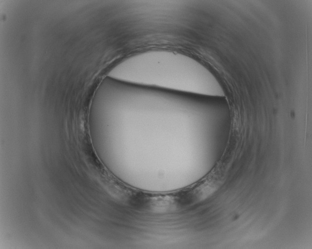 X0000072940363200607210913