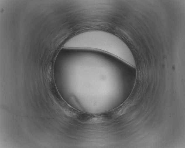 X0000072940364200607210913