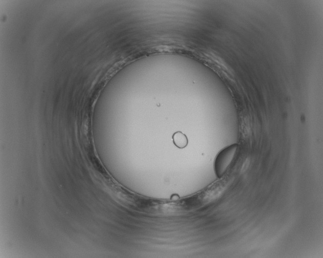 X0000072940365200607210913