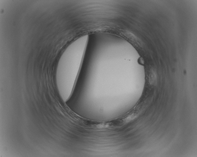 X0000072940366200607210913