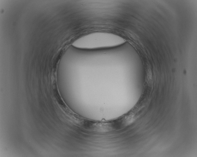 X0000072940367200607210913